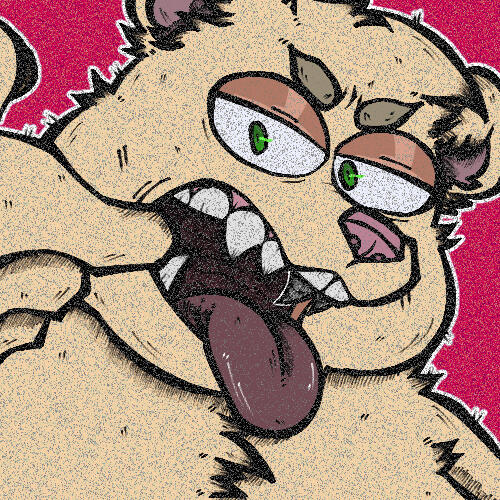 howly1 howly1